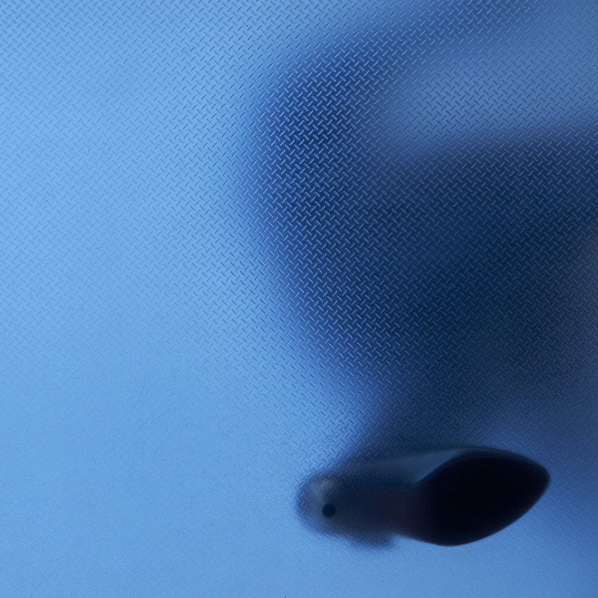 Footsteps(RT_crp_iPad_Sh)_0333.jpg