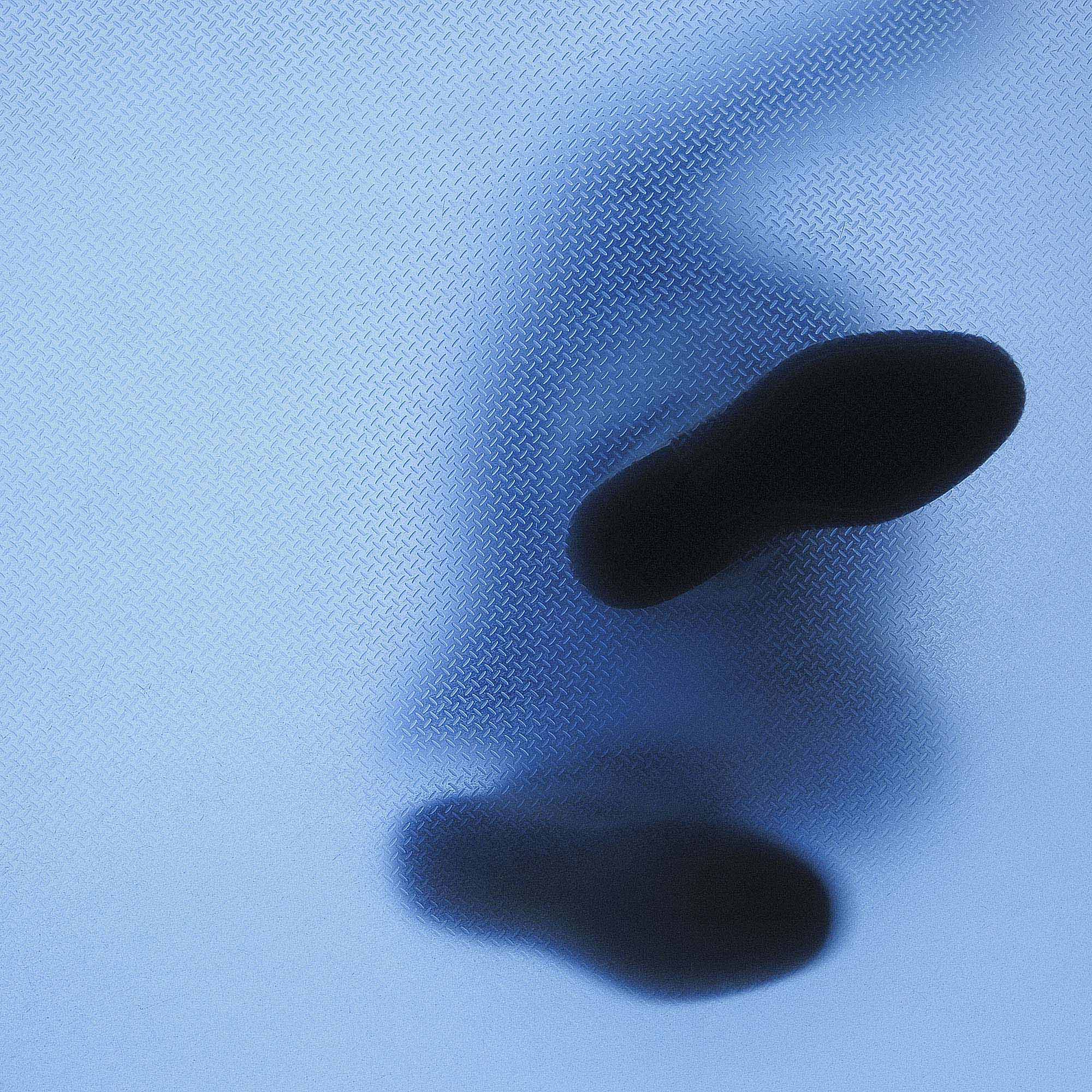 Footsteps(RT_iPad_Sh)0350.jpg