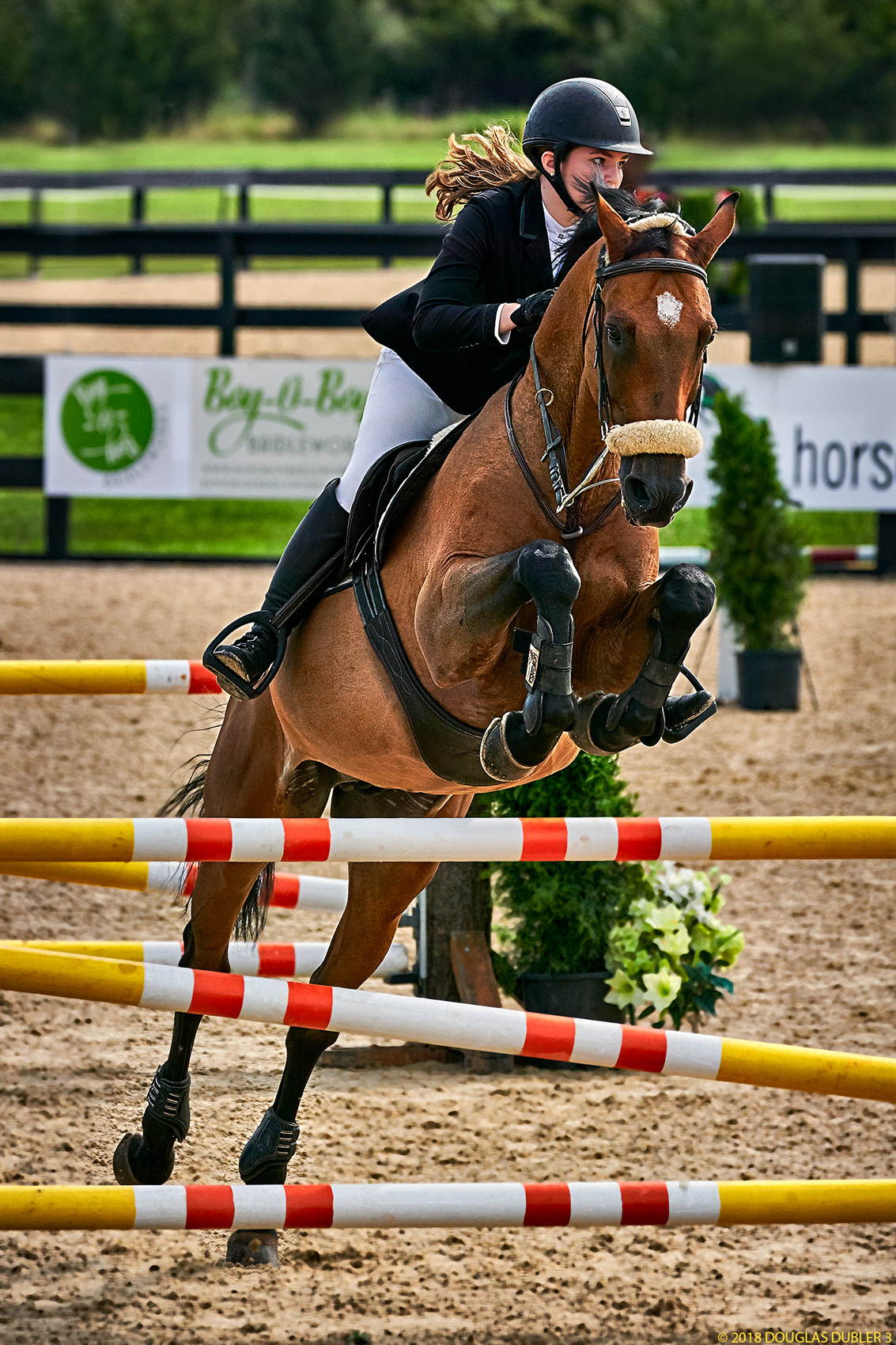 HairHorseJumper_8978_IY_Sh_D_sRGB_836