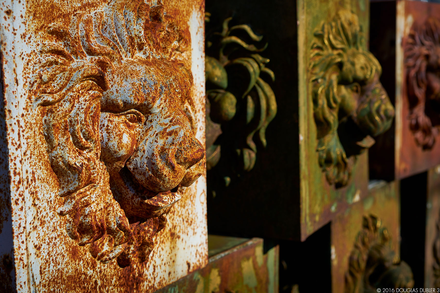 LionHeads_2280_Sh_D_Flt_©_598k