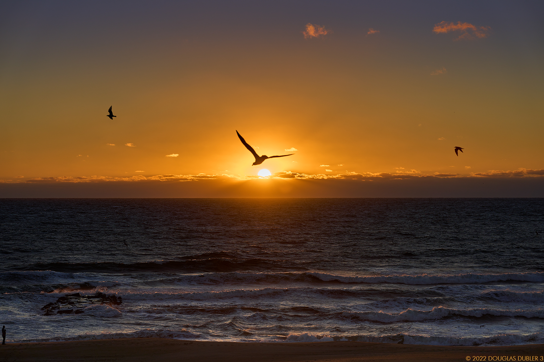 SpringLakeSunriseSeagulls_9832_Comp_Sh_D85_sRGB_