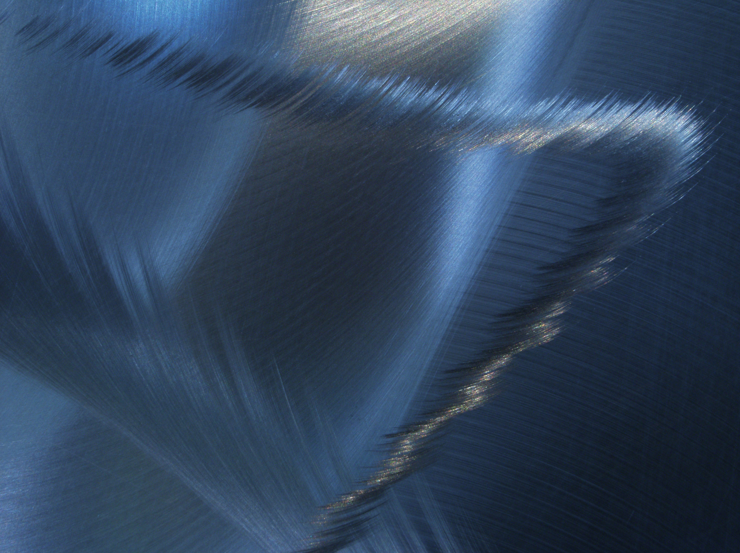 Steel#476_Sh_D_Flt