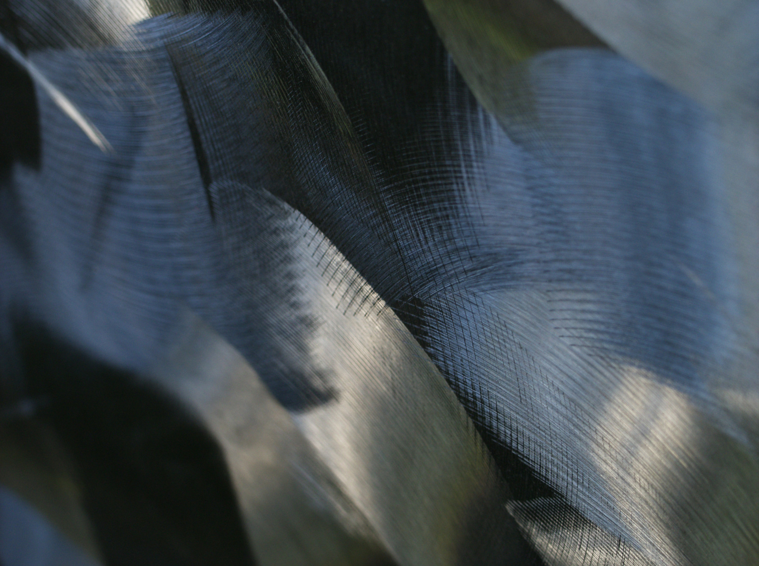 Steel#487_Sh_D_Flt